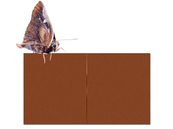 Borboleta textura de madeira quadro de cartaz em branco — Fotografia de Stock