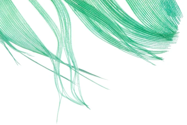 绿色羽毛抽象纹理背景 — 图库照片
