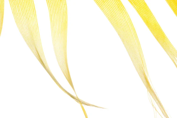 stock image Yellow feather abstract texture background