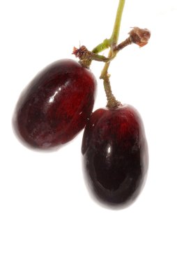 izole üzüm