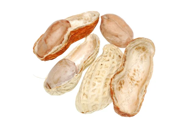 Peanut isolated — Stock Photo, Image