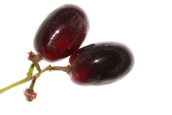 Grape isolerade — Stockfoto