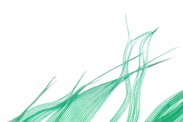 Zöld toll absztrakt textúra háttér — Stock Fotó