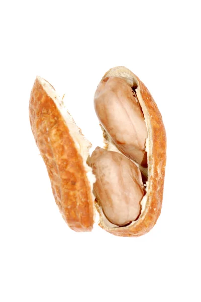 Amendoim isolado — Fotografia de Stock