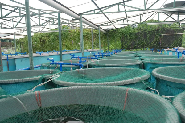 Landwirtschaftliche Aquakulturbetriebe — Stockfoto