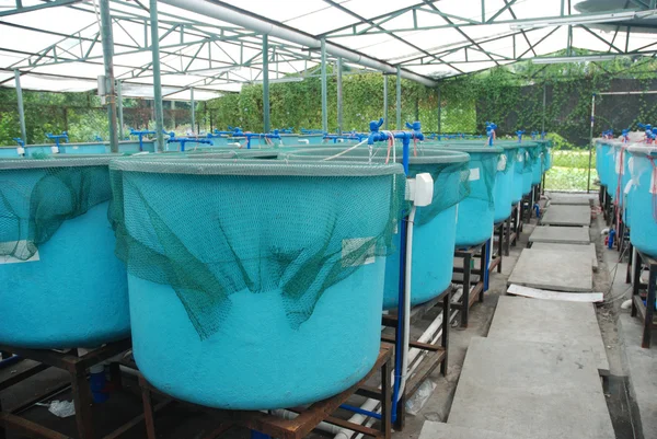 Rolnictwo gospodarstw akwakultury — Zdjęcie stockowe