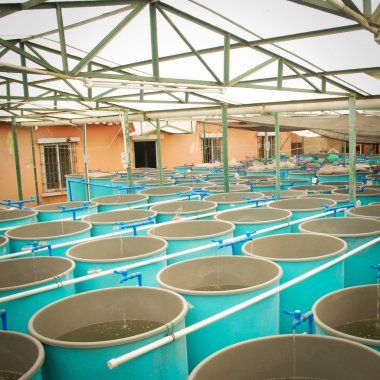 tarım su ürünleri çiftliği