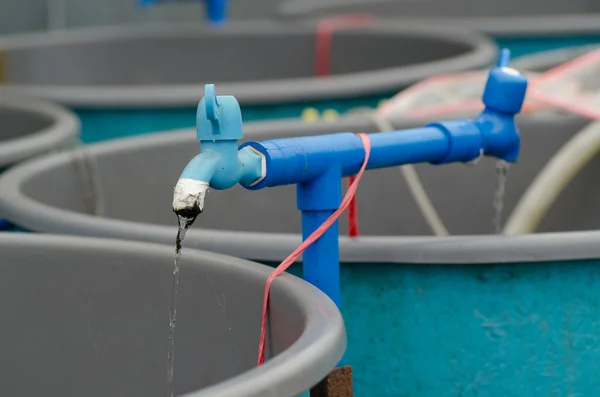 Agriculture aquaculture système d'eau ferme — Photo