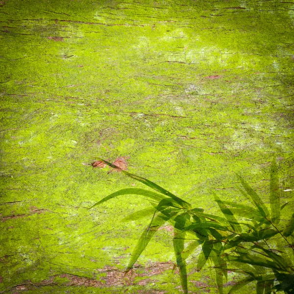 stock image Bamboo background