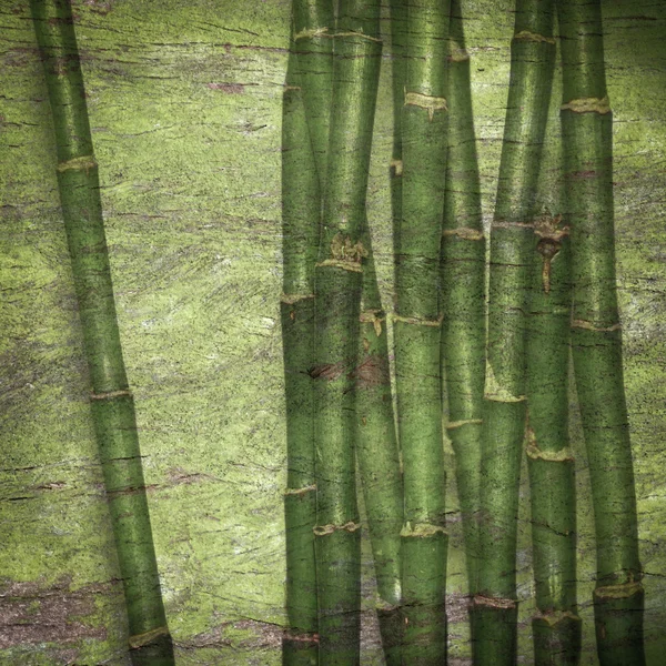 Fundo verde de bambu — Fotografia de Stock