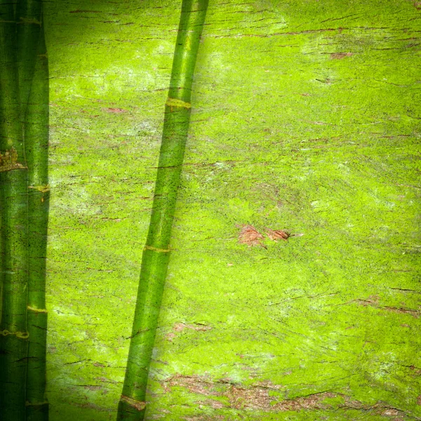 Bambus grünen Hintergrund — Stockfoto