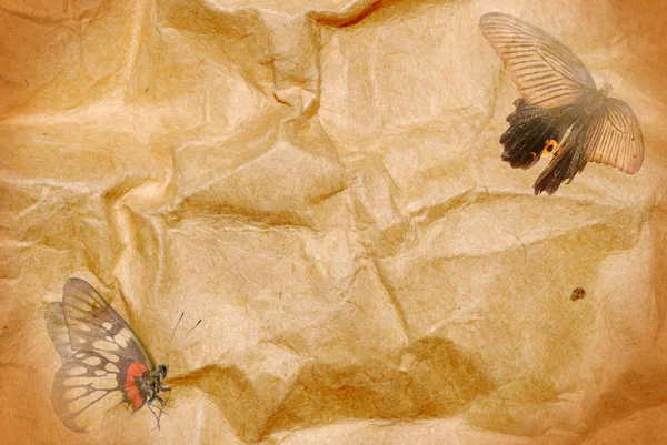 Pillangó papír absztrakt háttér — Stock Fotó