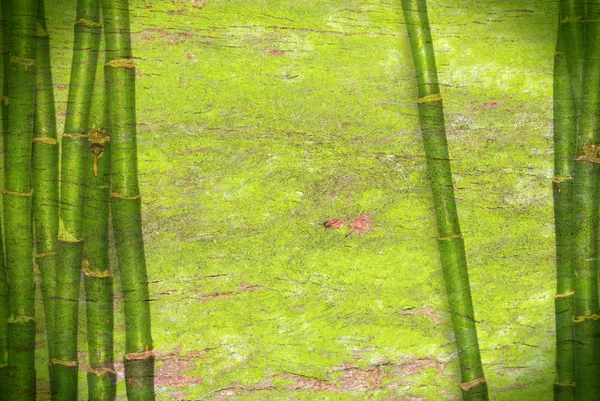 Bambus grünen Hintergrund — Stockfoto