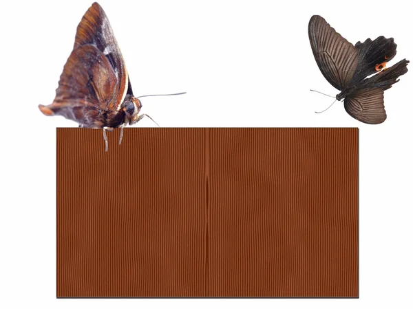 Kelebek ahşap doku boş poster çerçeve — Stok fotoğraf