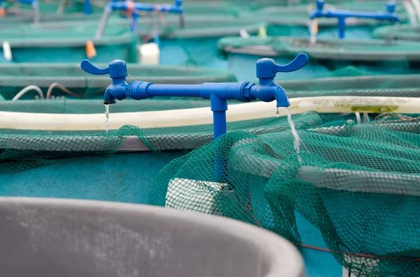 Сільське господарство водна система аквакультури ферма — стокове фото