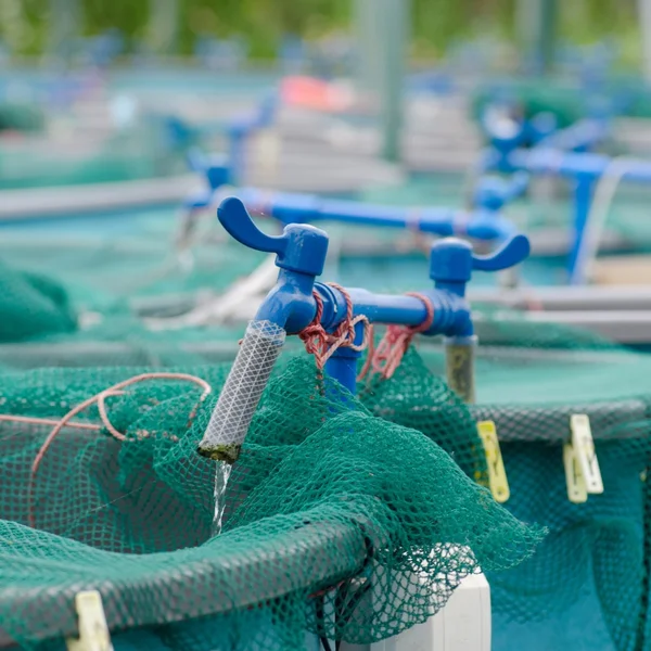 stock image Agriculture aquaculture water system farm