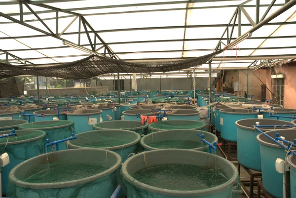 stock image Agriculture aquaculture farm