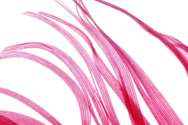 Red feather abstract texture background — Stock Photo, Image