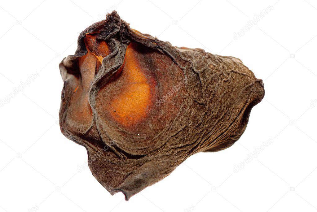 black fungus |图库照片08xunbin pan#7222655