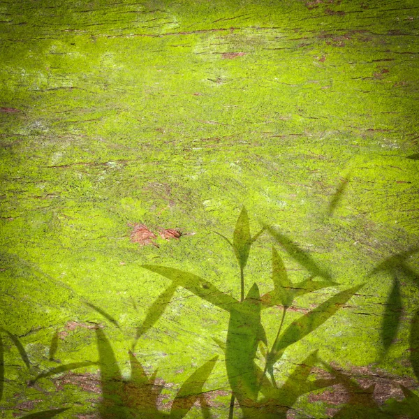 Stock image Green leaf texture background