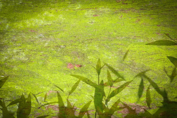 stock image Green leaf texture background