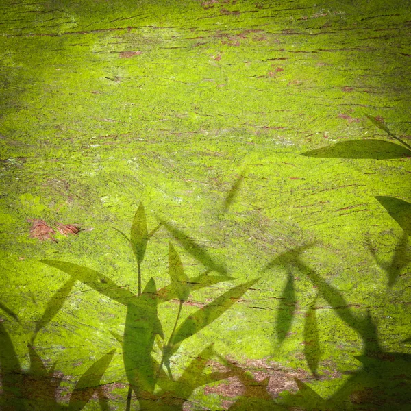 Πράσινο φόντο υφή φύλλου — Φωτογραφία Αρχείου