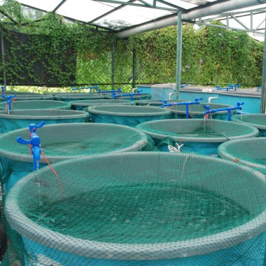 Agriculture aquaculture farm clipart