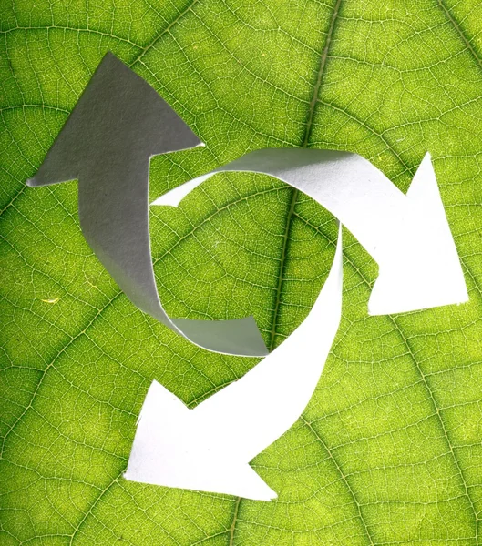 Natuur recycle — Stockfoto