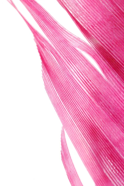 Фон з абстрактною текстурою червоного пера — стокове фото