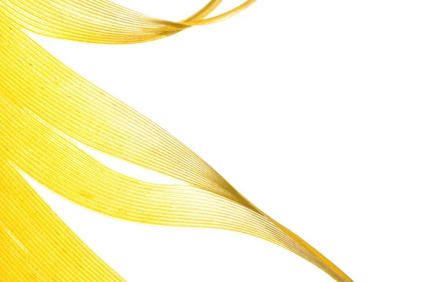 stock image Yellow feather abstract texture background