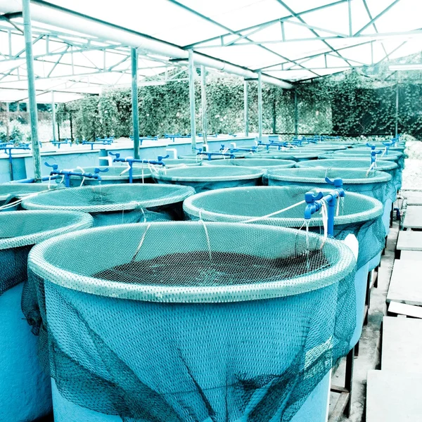 Landbouw aquacultuur boerderij — Stockfoto
