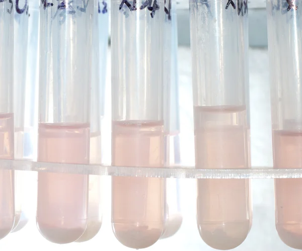Wetenschap biologie medische test tube — Stockfoto