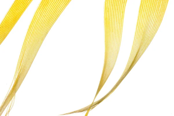 Абстрактный фон из жёлтого пера — стоковое фото