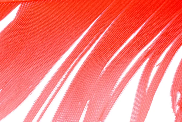 Red bird feather texture — Stock Photo, Image