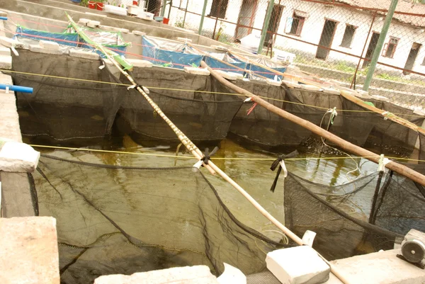 stock image Agriculture aquaculture farm