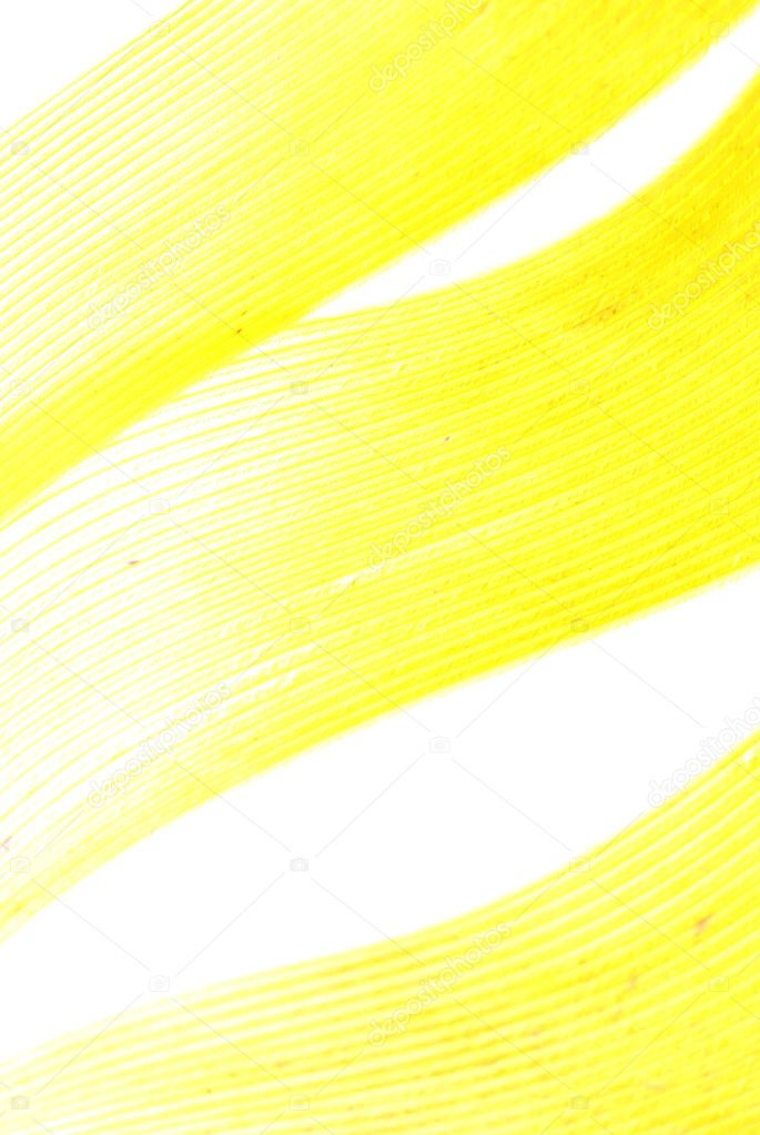 Yellow feather abstract texture background