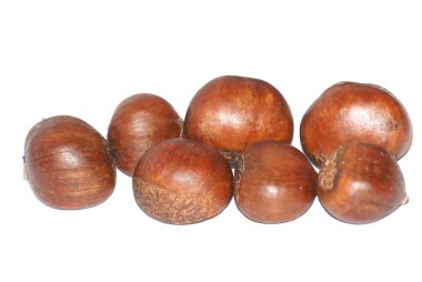 Chinese chestnut clipart