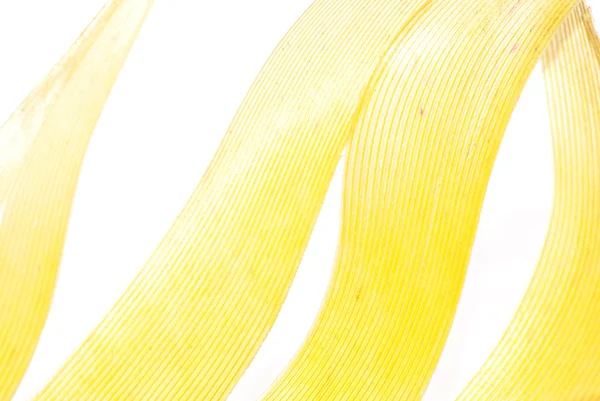 Κίτρινο φτερό αφηρημένη υφή φόντου — Φωτογραφία Αρχείου