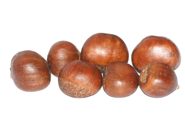 Chinese chestnut — Stock Photo, Image