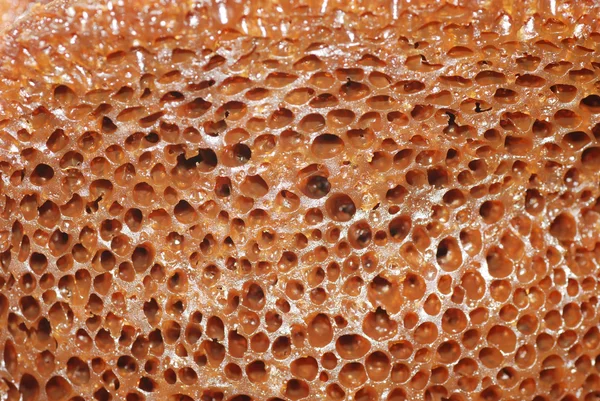 Honeycomb cake macro texture