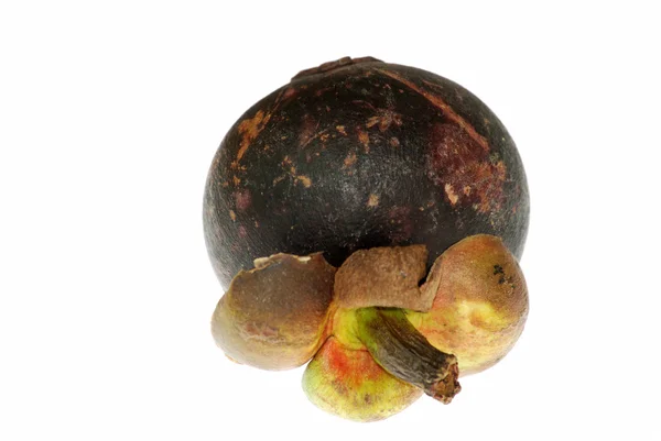 Mangostan z owoców tropikalnych — Zdjęcie stockowe