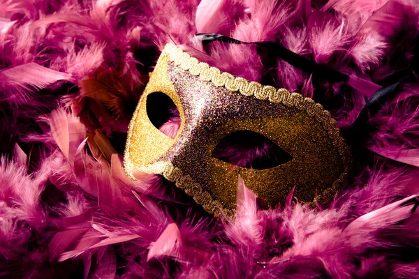 Máscara de carnaval —  Fotos de Stock