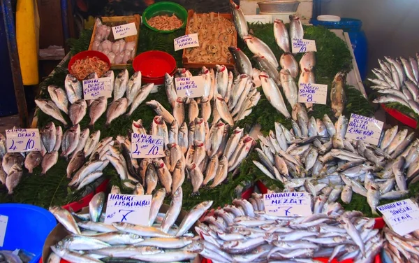 Fish Market — Stock Photo, Image