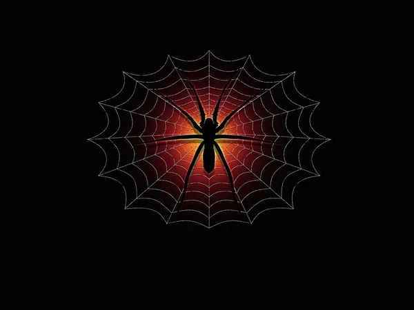 거미 및 웹 — 스톡 사진