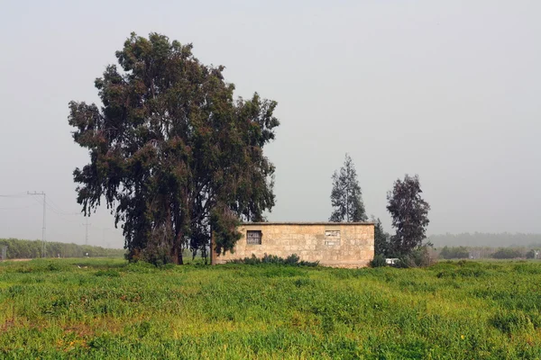 이스라엘의 농업 — 스톡 사진