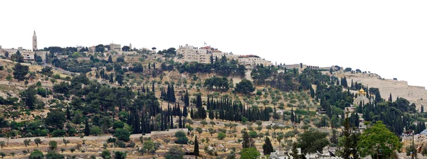 View of the Mount of Olives — Stok fotoğraf