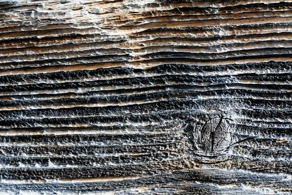 Antecedentes de madera carbonizada — Foto de Stock