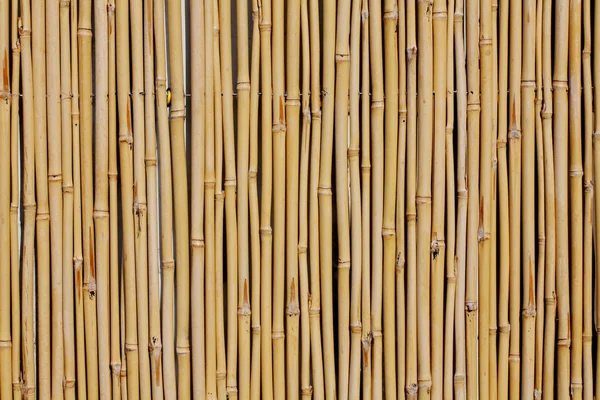Bambuszaun lizenzfreie Stockbilder