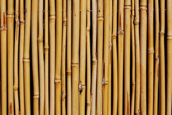 Antecedentes de la cerca de bambú — Foto de Stock