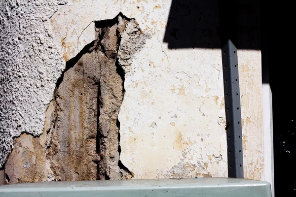 Kedi duvarda bir olgu karşısında — Stok fotoğraf